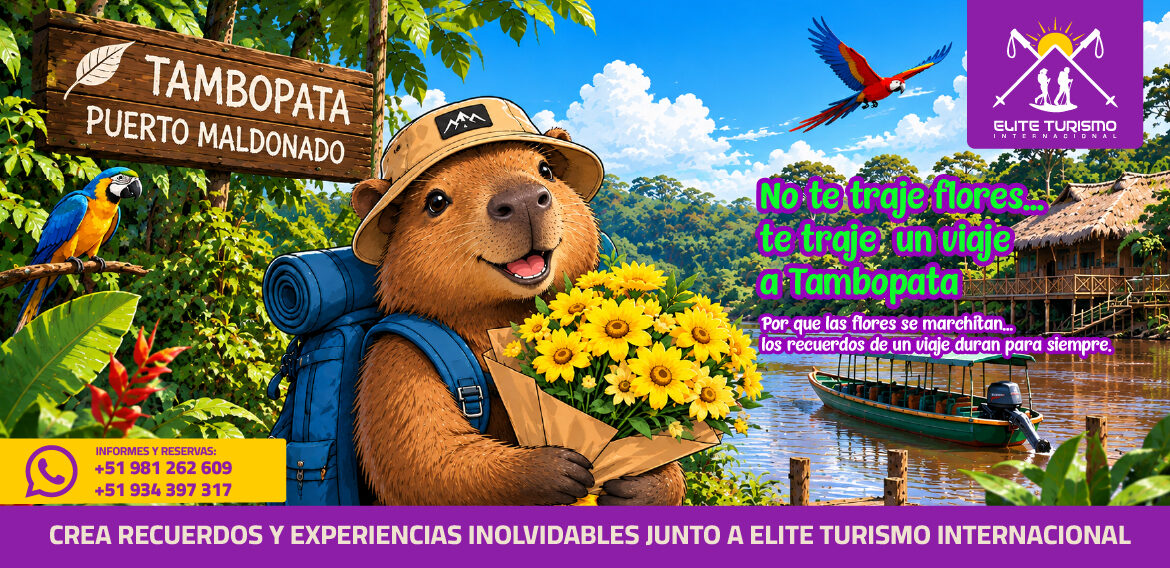 🌼💛 NO TE TRAJE FLORES… ¡TE TRAJE UNA AVENTURA! 🦫🌿