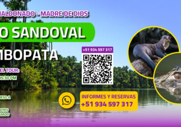 lago sandoval – tambopata