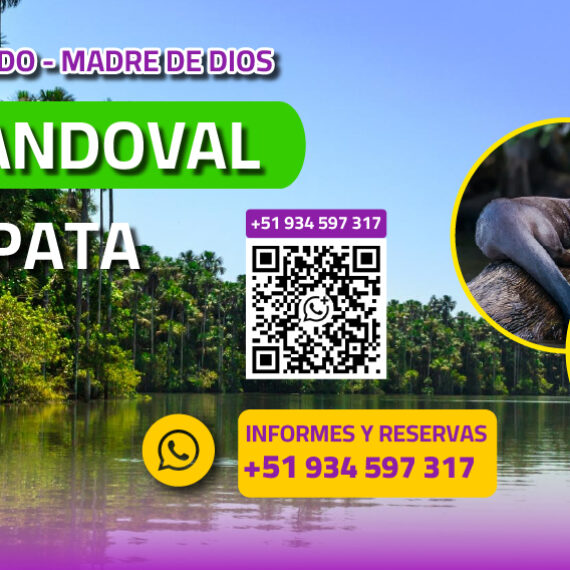 lago sandoval – tambopata